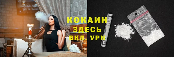ГАЛЛЮЦИНОГЕННЫЕ ГРИБЫ Верея
