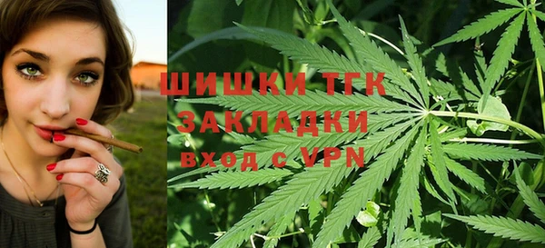 ГАЛЛЮЦИНОГЕННЫЕ ГРИБЫ Верея