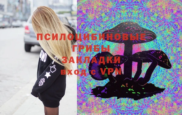 ГАЛЛЮЦИНОГЕННЫЕ ГРИБЫ Верея