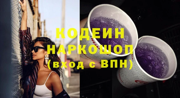 ГАЛЛЮЦИНОГЕННЫЕ ГРИБЫ Верея