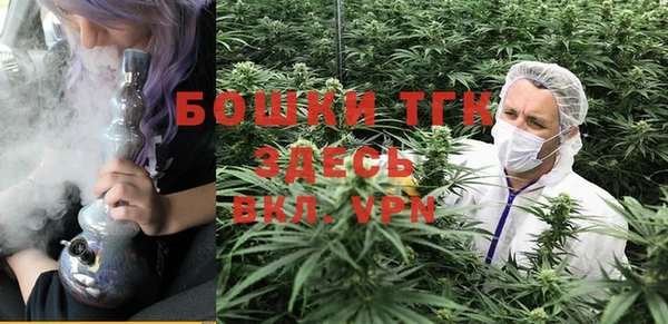 ГАЛЛЮЦИНОГЕННЫЕ ГРИБЫ Верея